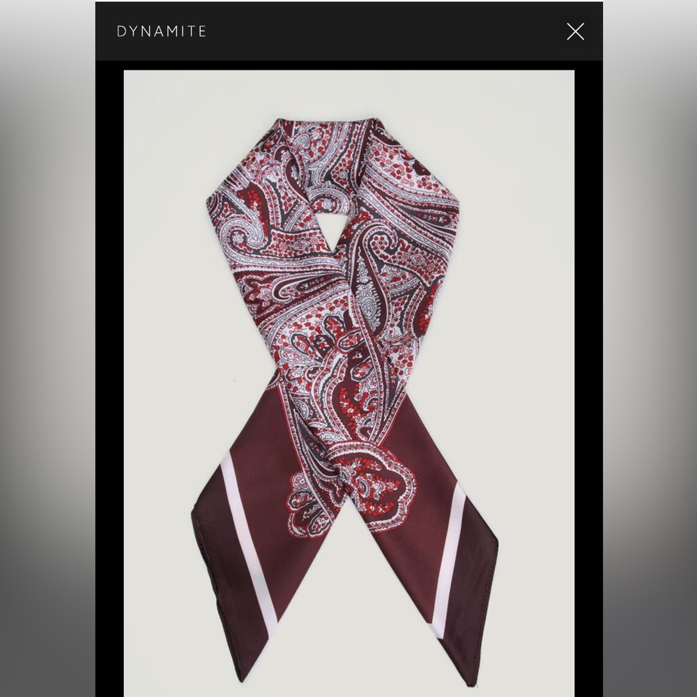 Dynamite Paisley Scarf in Red and Brown